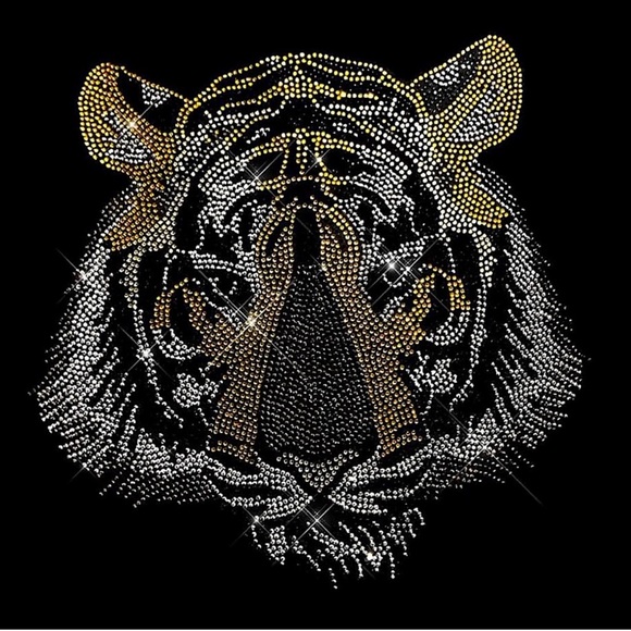 ☃️BOGO50%☃️ 🆕🤎EXPRESSED SOCIETY: MOCHA Tiger Sweatshirt MEDIUM - Picture 4 of 5